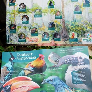 Philippines section of tropical hall - Bird identification card (Sep 2nd, 2018)