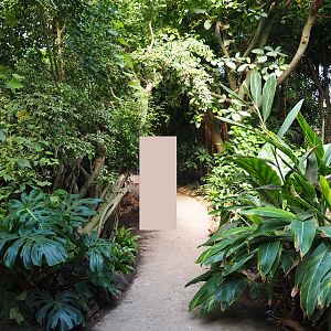 View in Philippines section of tropical hall (Sep 2nd, 2018)