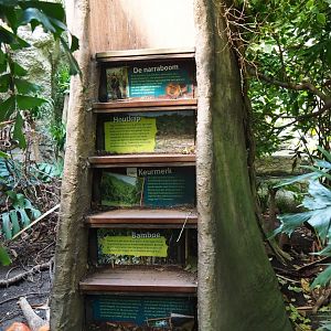 Fake tree with steps and information signs (Sep 2nd, 2018)