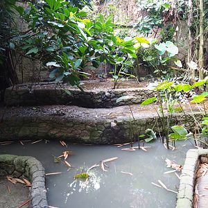 Mock-up of a rice field in the Philippines section of the tropical hall (Sep 2nd, 2018)