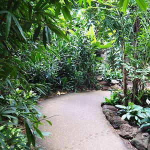 View in Philippines section of tropical hall (Sep 2nd, 2018)