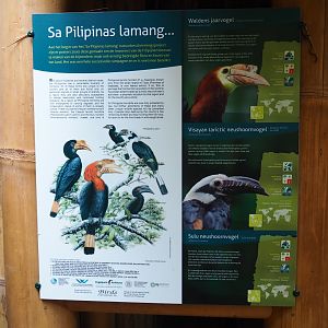 Philippines hornbills conservation project sign (Sep 2nd, 2018)