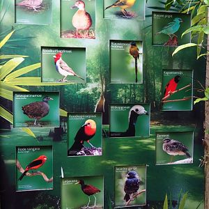 Pantanal section of the tropical hall species sign (Sep 2nd, 2018)