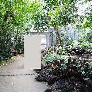 View in third section of tropical hall (Sep 2nd, 2018)