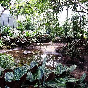 View in third section of tropical hall (Sep 2nd, 2018)