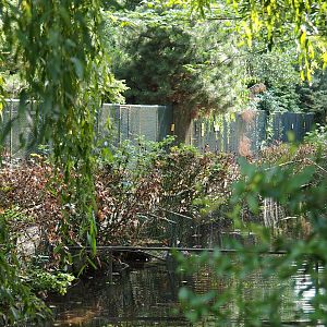 Closed-off old pheaantry (Sep 2nd, 2018)