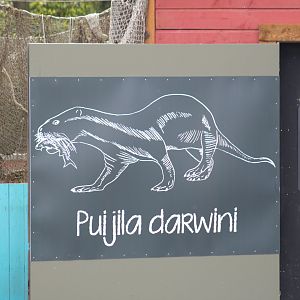 Puijila Sign