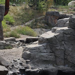 Polar Bear Enclosure