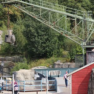 View into Polar Bear Enclosure