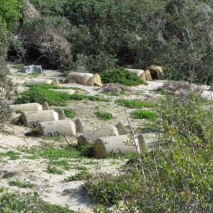 Artifical African Penguin Nests