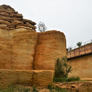 Snow Leopard Enclosure from Lower Viewing at Doué-la-Fontaine, 15/06/18