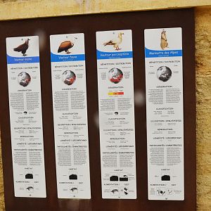 Vulture and Marmot Enclosure Signage at Doué-la-Fontaine, 15/06/18