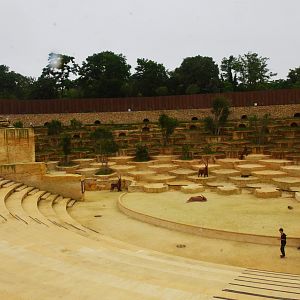 Vulture and Marmot Enclosure at Doué-la-Fontaine, 15/06/18