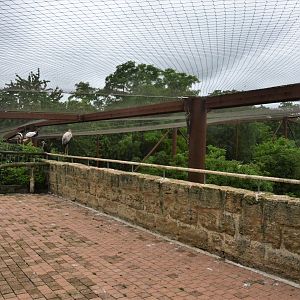 Okapi Sanctuary Aviary Upper Viewing at Doué-la-Fontaine, 15/06/18