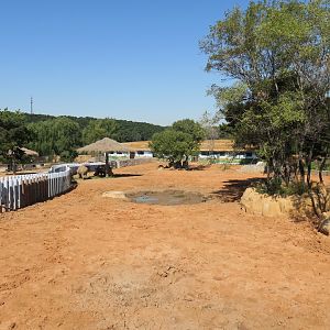 white rhinoceros enclosure