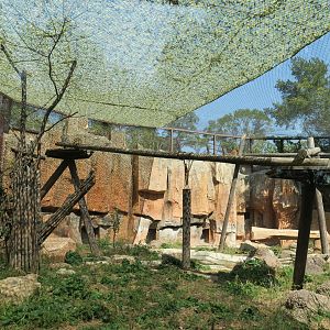 leopard enclosure