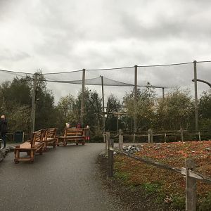 Steller’s sea eagle aviary