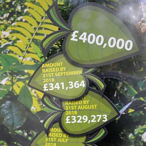 Latest total for new orang enclosure fundraising.