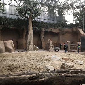 Asian elephant indoor enclosure