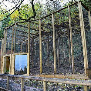 New black lemur enclosure