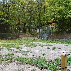 New camel paddock extension