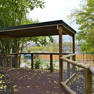 New viewing area overlooking camel paddock extension