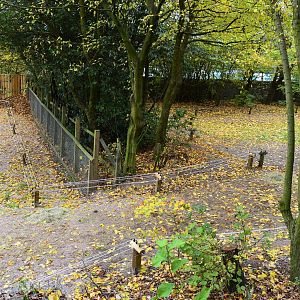 Link to camel paddock extension