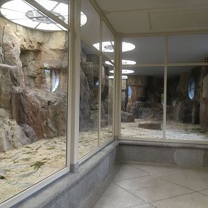 Gelada indoor area