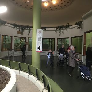 Gorilla indoor enclosures