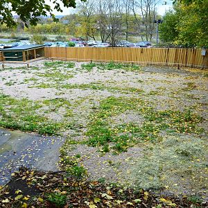 Overlooking new camel paddock extension
