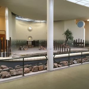 Pygmy hippo indoor enclosure