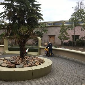 Pygmy hippo enclosure