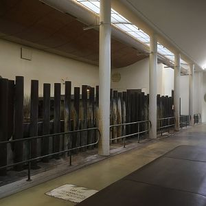 Black rhino indoor area