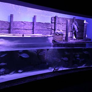 Demre harbour aquarium