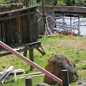 Chimpanzee enclosure renovations