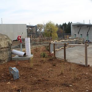 Adventure Africa Construction - African Elephant Exhibit