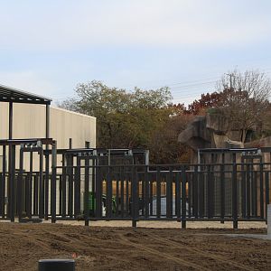 Adventure Africa Construction - African Elephant off Exhibit yards