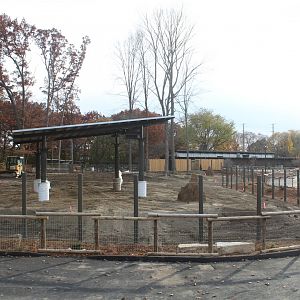 Adventure Africa Construction - Impala Plains (Impala, Zebra, African Crowned Crane)