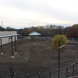 Adventure Africa Construction - African Elephant Exhibit Overview