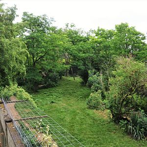 African Lion Enclosure at Doué-la-Fontaine, 15/06/18