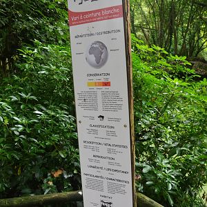 Signage Example at Doué-la-Fontaine, 15/06/18