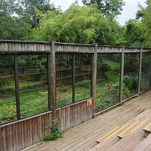 Sumatran Tiger Enclosure at Doué-la-Fontaine, 15/06/18