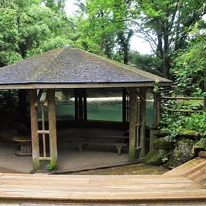 Pygmy Hippopotamus Enclosure at Doué-la-Fontaine, 15/06/18
