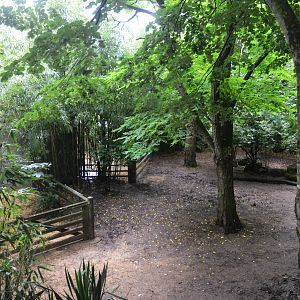 Pygmy Hippopotamus Enclosure at Doué-la-Fontaine, 15/06/18