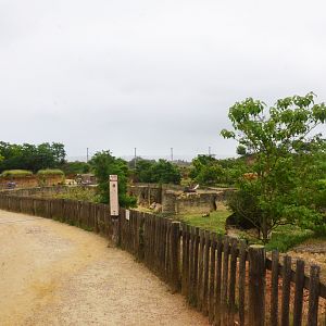 Eastern Black Rhino Enclosure at Doué-la-Fontaine, 15/06/18