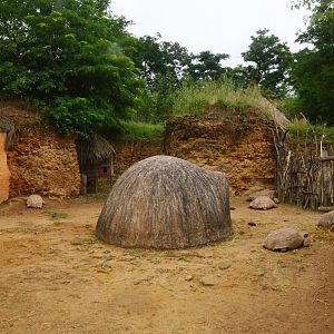 African Spurred Tortoise Enclosure at Doué-la-Fontaine, 15/06/18