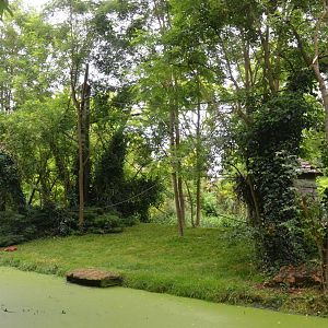 Red Ruffed Lemur Island at Doué-la-Fontaine, 15/06/18