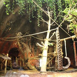 Indoor Gorilla Exhibit