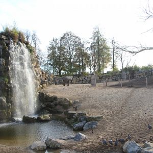 Part of African elephant enclosure.