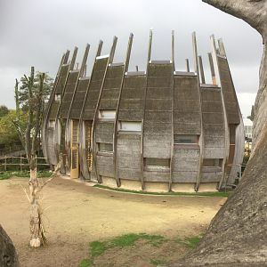 Giraffe house